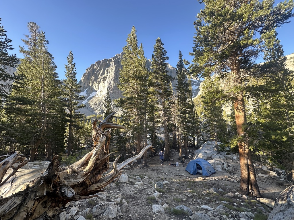 Big Pine